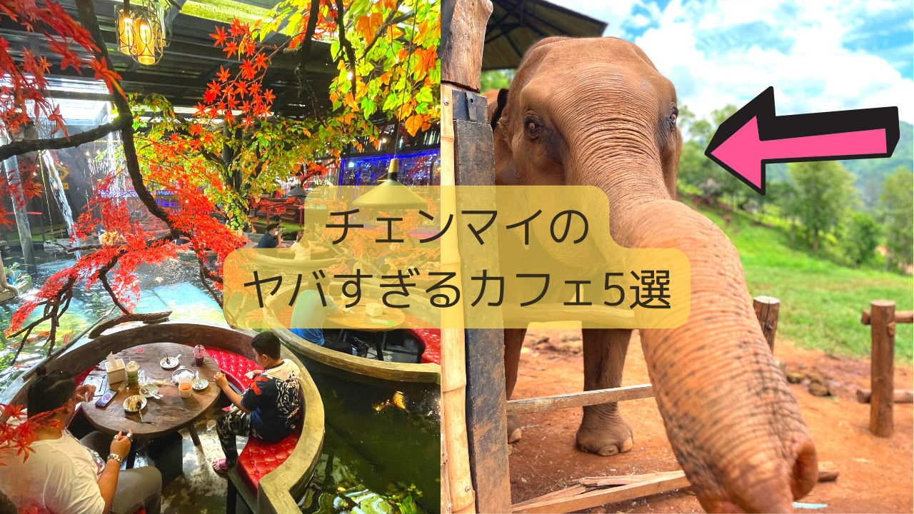 動画あり チェンマイのヤバすぎるカフェ5選 日本ではありえない非日常体験 雑ログ